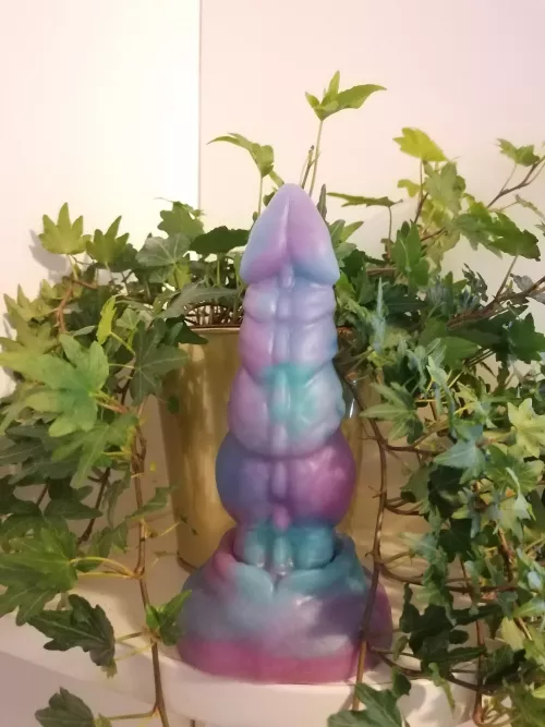 Newest arrival: Nova by cuteandnsfw