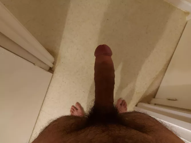 Nice and hard cock for you. by Tdog198907