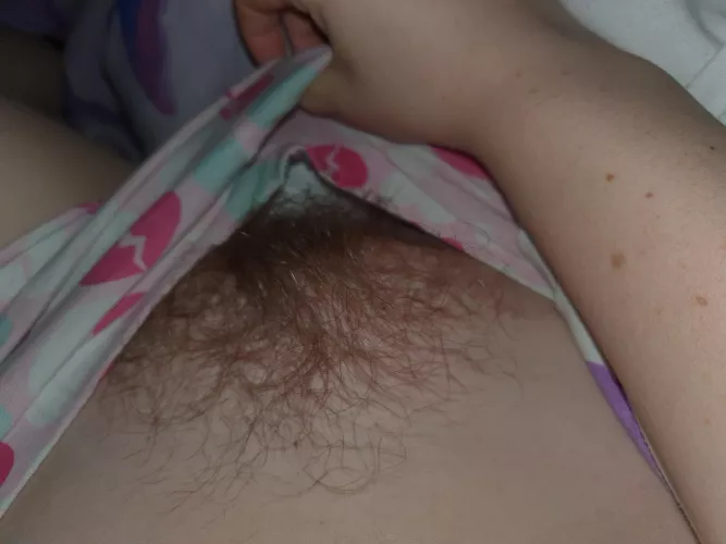 Nice hairy pussy for you by Breedingslut7