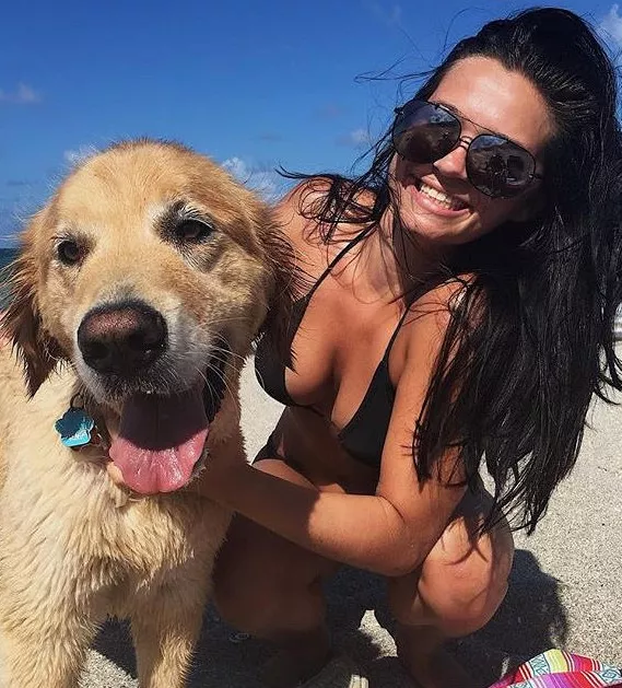 Nice Puppies posted by aabbccdefg