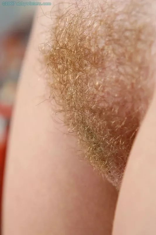 Nice rug! posted by kw1971