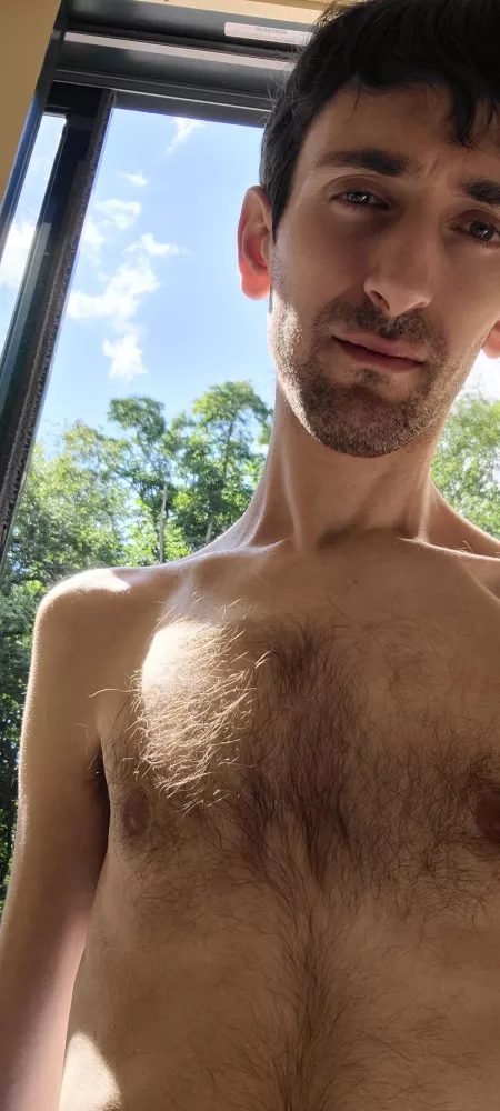 Nice to get some sunlight by lymeguy