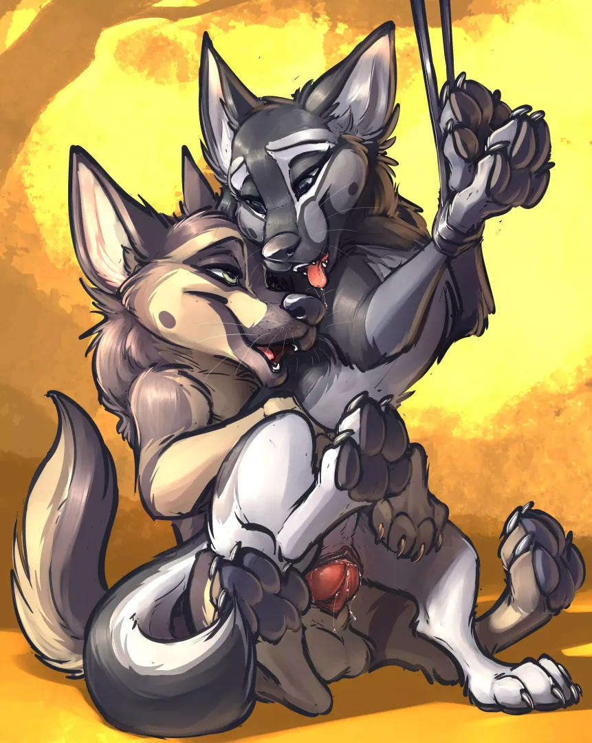 Nightfox1 [MF] (Carrot) posted by OwO_Bot