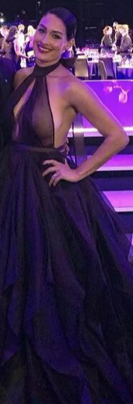 Nikki Bella by Mikester401