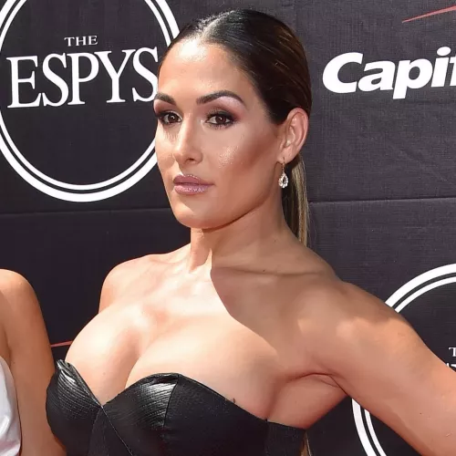 Nikki Bella by Demonwiser