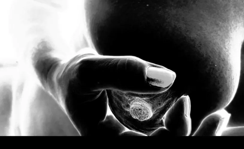 Nippel by Early-Candy642