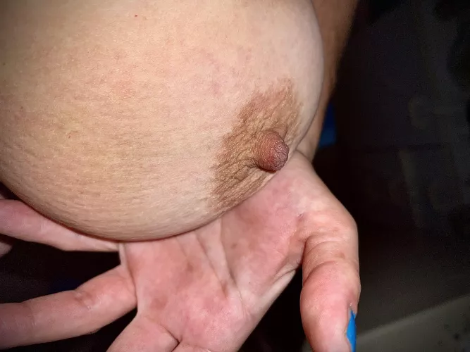 Nippes by Early-Candy642