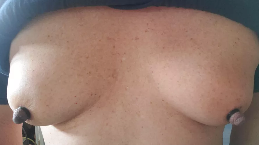 Nips pumped and banded by sissylove000