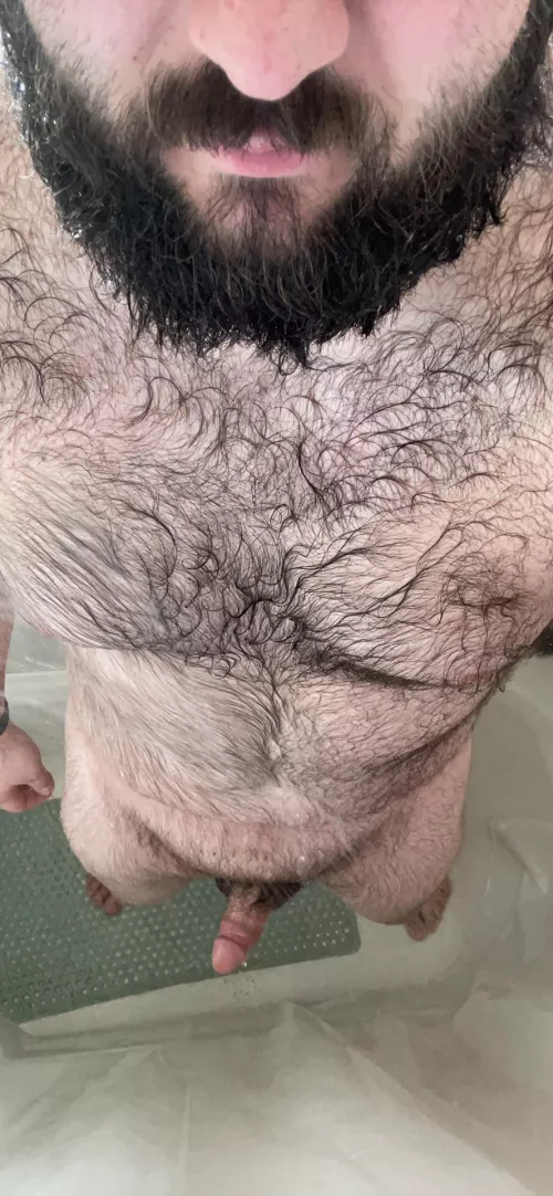 No caption needed by person77277