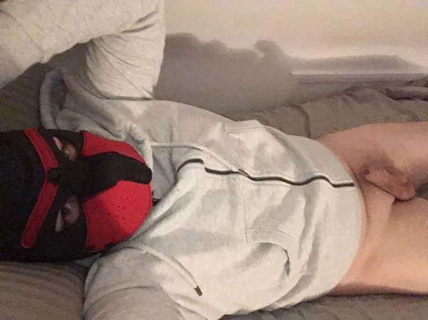 No gear or anything. But I hope I make a good pup by Little_hunt3r