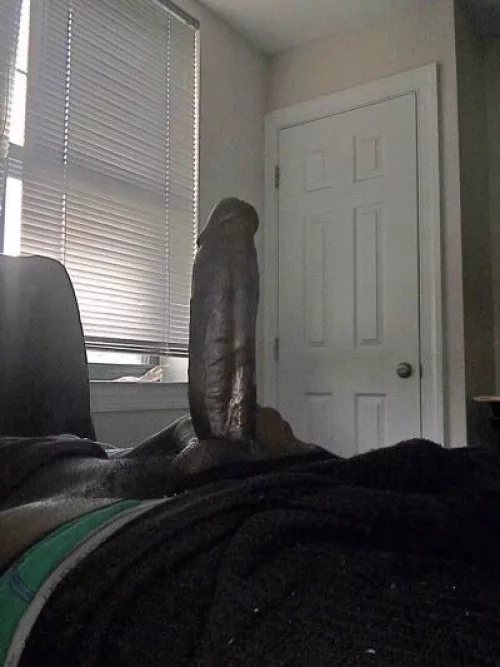 😈🍆 No Nut 🌰 November Is Almost Over And I’m Full AF by breze909