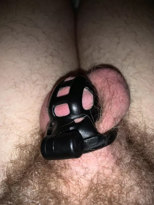 No orgasme for me. by ChasteSlaveKen