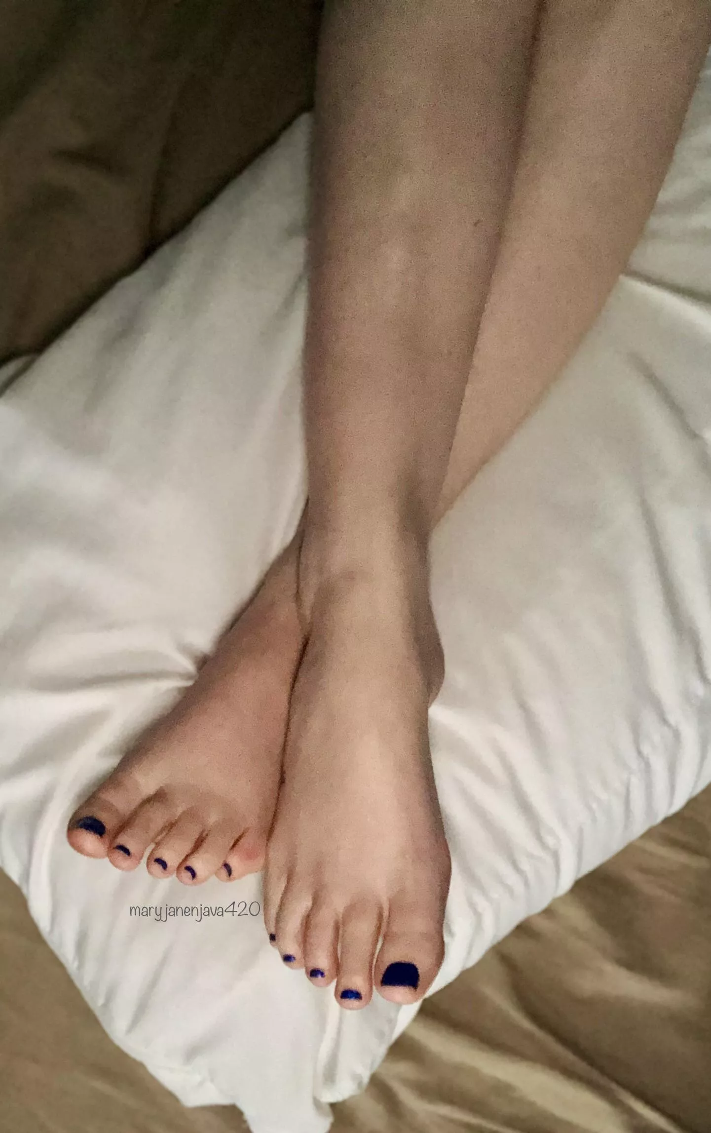 No place I’d rather be than bed 😴🥱 posted by [deleted]