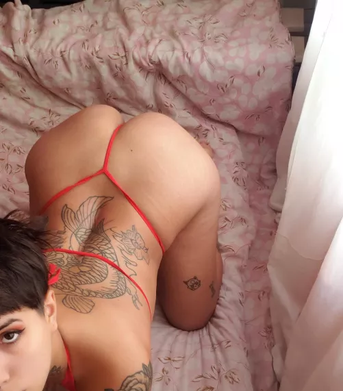 NO PPV 🍑 explicit 💦 hot chat 🔞 dick rate 🤯 CUSTOM 💣 $ 4.50 Sale 🔥link in comments by littlebellotax