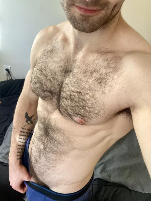 No Shave November has come to a close, and now I need your help deciding what to do with all this new body hair - trim, shave or leave by J-Harker
