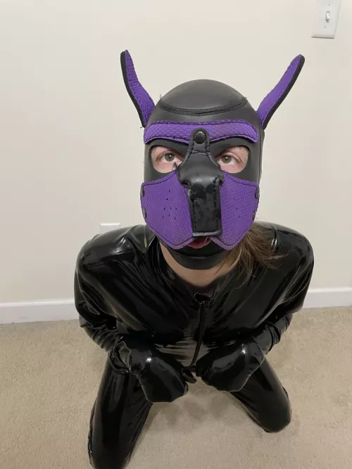 No thoughts, just barks~ by Bad_Otter