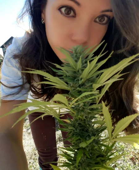 No till organic living soil ❤ by sexypsychedelic