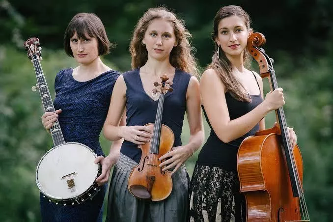 No wood wind posted by Gismiester