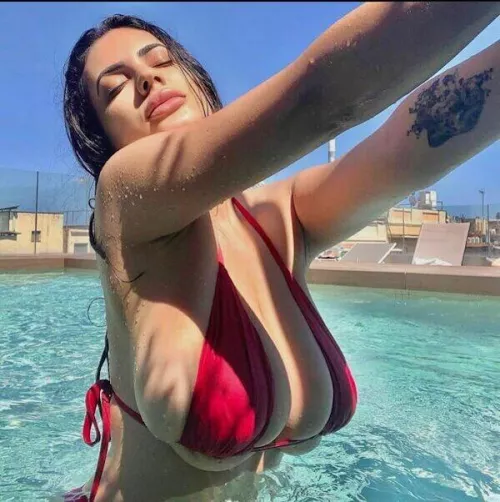 No words. Just stare by Pit-Master