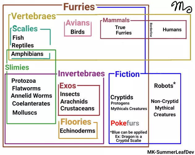 Non-furry tries to make a infograph for Furry Categorization! by MK-SummerLeafDev