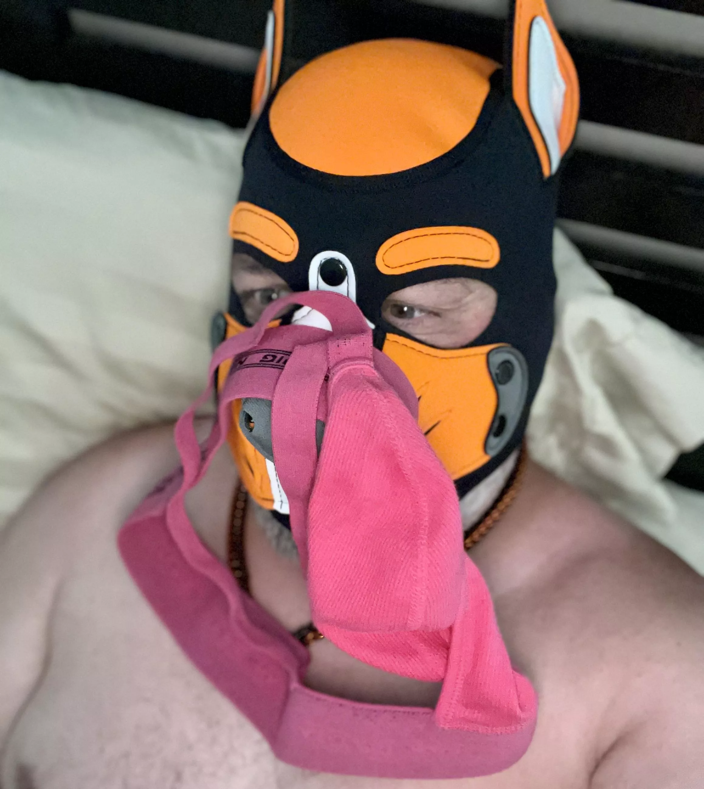 “No…of course puppy didn’t go into your laundry basket. Why do you ask?” posted by atllockedboy