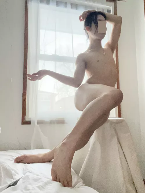 North facing window / by Express_Pen9541