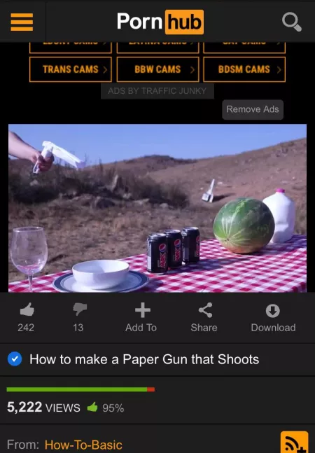 Not a Comment But, Why is How-To-Basic in PornHub? by NearbyIssue629