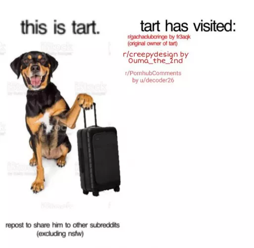 Not a comment, just wanted an absurd subreddit on his list... by decoder26