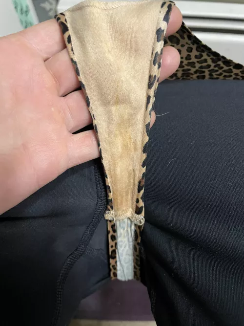 Not a looker… but definitely aromatic!! by Curious_Contact2002