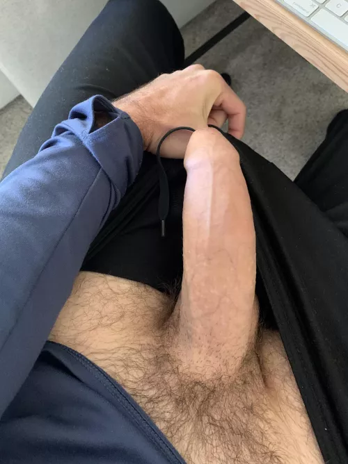 Not easy to hide by MenloBull