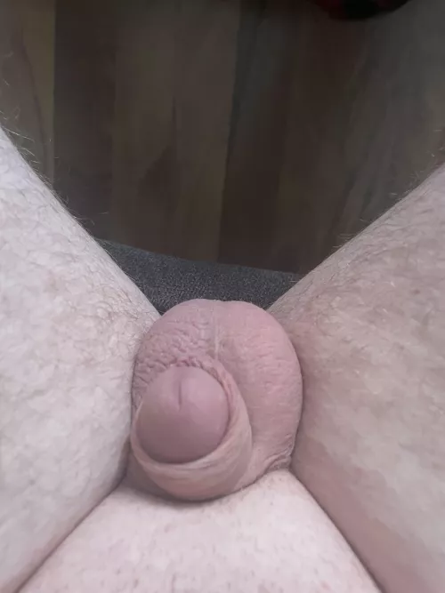 Not even gonna attempt the tp roll challenge 😂😂 by ragepex