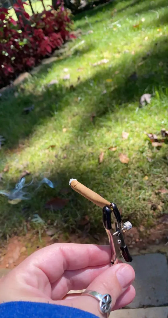 Not just [f]or nipples! posted by wickedbyname