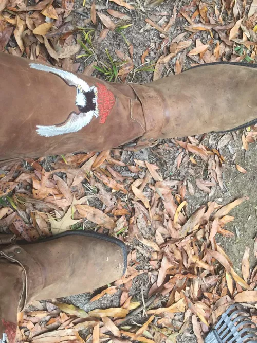 Not my favorite but at least they stopped me for breaking my ankle 3 weeks ago (I feel down some stairs) by bootsmckenzie