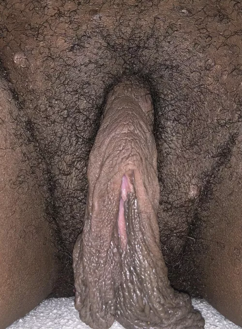 Not only can you suck on my big clit but my long pussy lips too!! Please make sure to follow ! I’ll be spreading my pussy lips at 1.5k by mushroomkitty222