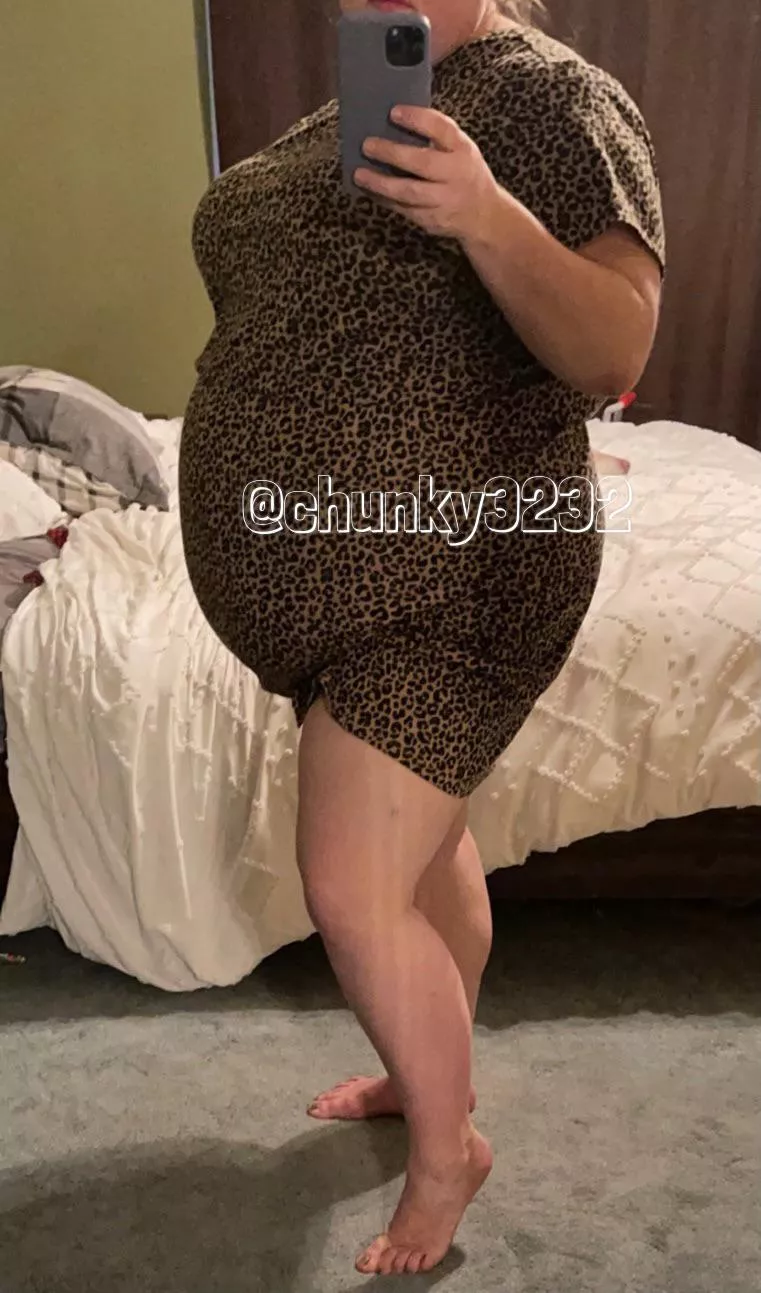 Not pregnant just a food baby. 🙃 posted by chunky3232