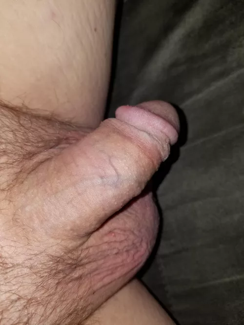 not super hairy and doesn't help i like my balls shaved. by Dave43M