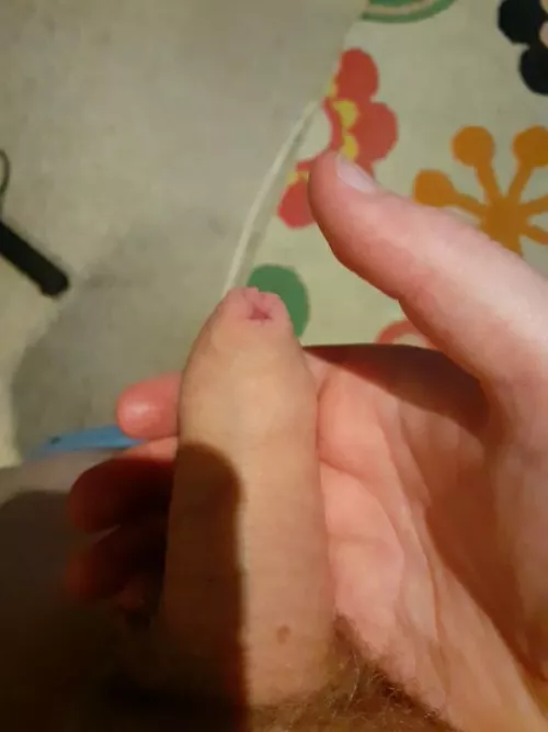 Not super hung or anything, but I'd like some honest thoughts! by phlebbitor