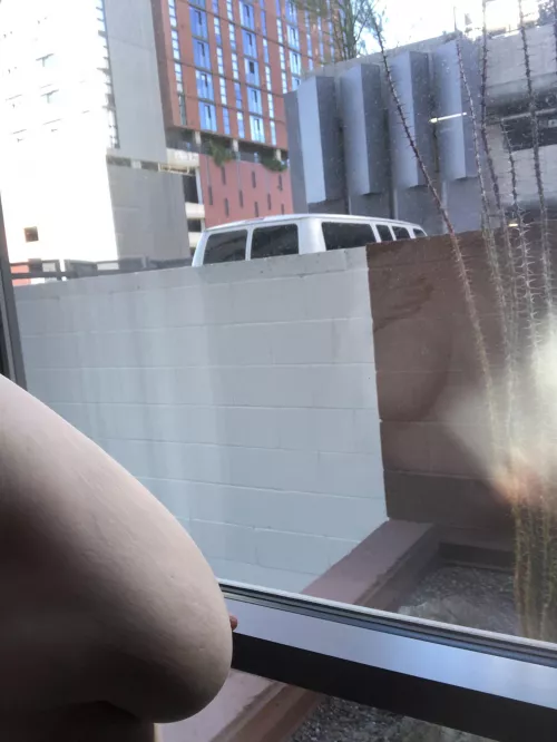 Not the best view from my hotel room… 🤷🏼‍♀️ by Ging3rrn