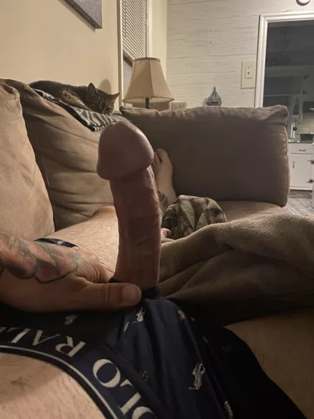 Not the biggest by Odd-Requirement-9711