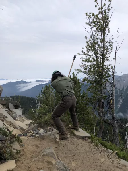 Not too wild but its nice to swing a hammer for work by tjohnc94