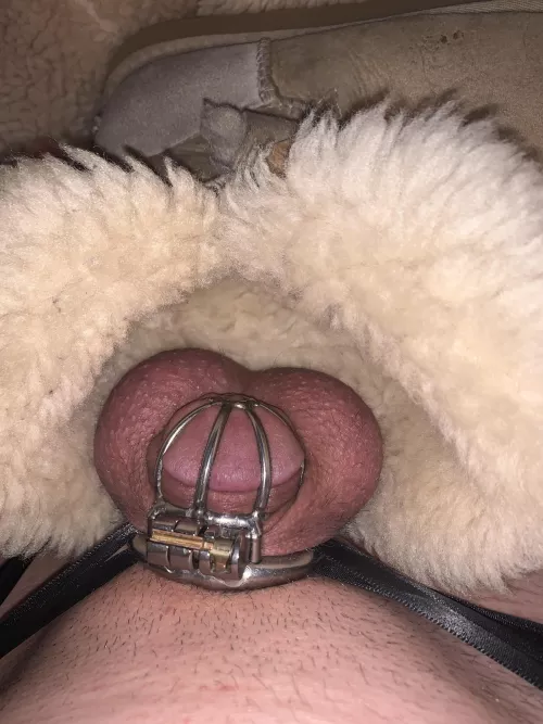 Nothing feels more feminine than chastity and uggs😍😍😍 by ugg8888