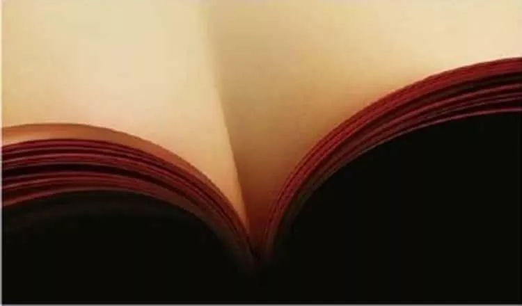 Nothing like a good book. posted by Gullible_Possible439