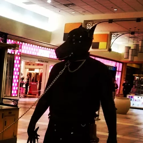 Nothing makes me happier than being taken for a walk with my leash on. posted by RivelyanKnight