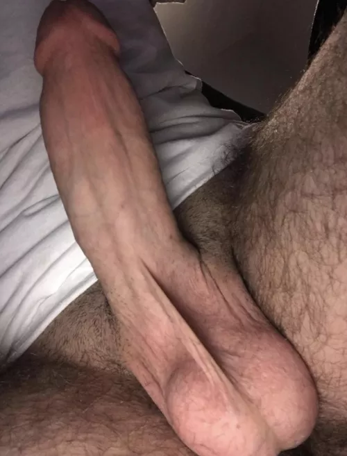 Nothing to see here. by Bigggy4369