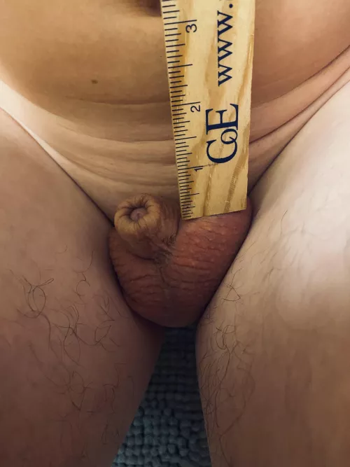 (NSFW) Put a little clitty in its place. by Shrinking_Daily333