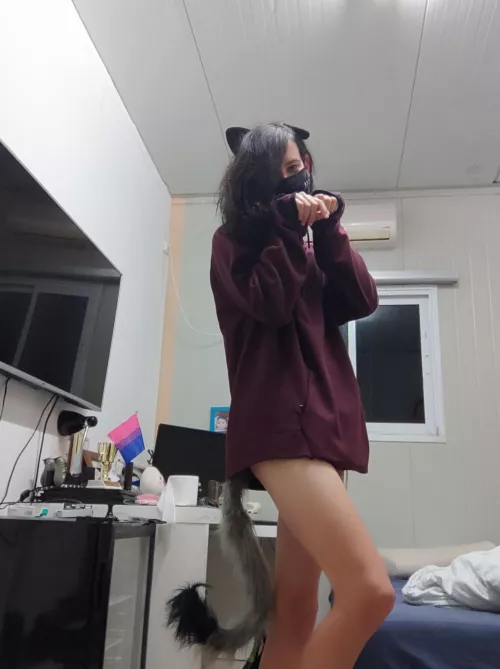 Nya! OwO by Effect_Winter