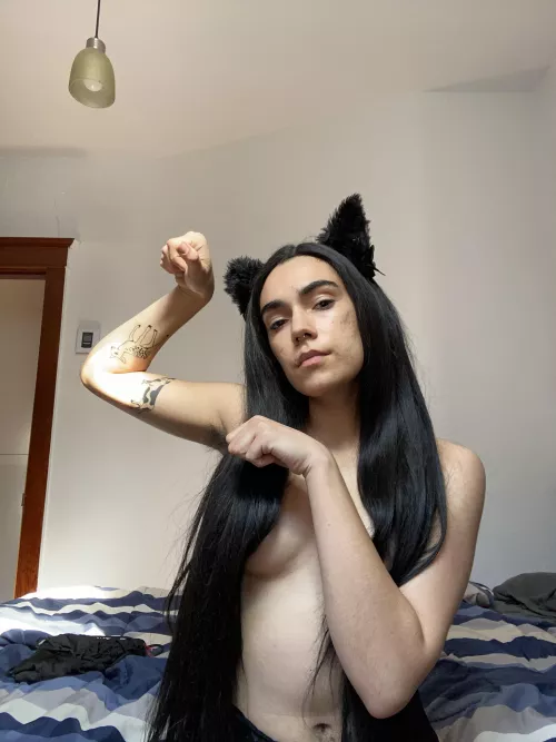 nyaaaa 😻 by lilcaesarscrazybred