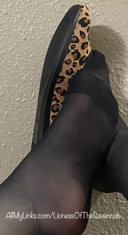 Nylons are my absolute favorite 😍 by Savannahs_Feet