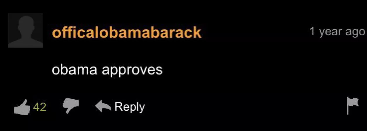 Obama approved by InternationalZebra5