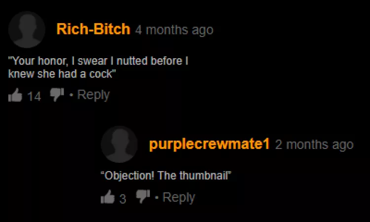 Objection! by Levellepe